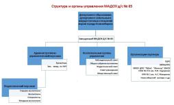 Модель управления ДОО